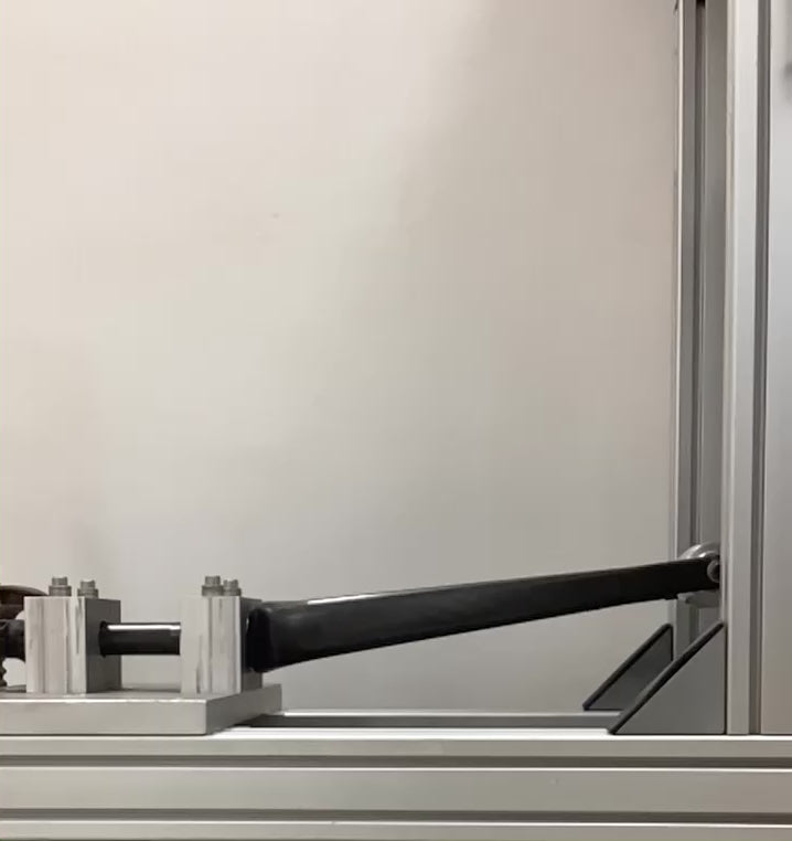imapct test ornata